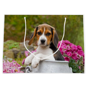 Cute Beagle Dog Puppy in a Milk Churn - Wrapbag Large Gift Bag
