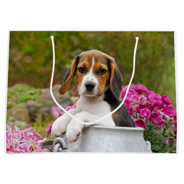 Cute Beagle Dog Puppy in a Milk Churn - Wrapbag Large Gift Bag (Front)