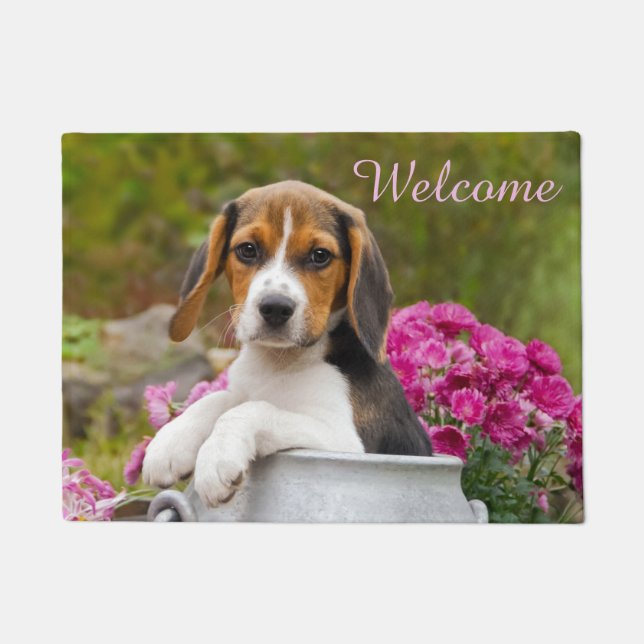 Cute Beagle Dog Puppy in Milk Churn - Welcome Doormat (Front)