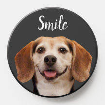 Cute Beagle Dog Smiling