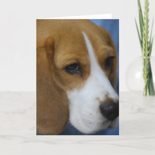 Cute Beagle  Greeting Cards