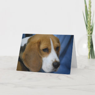 Cute Beagle  Greeting Cards