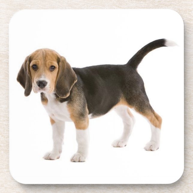 Cute Beagle Mum Dog Lover Puppy Dad Pup Adoption Coaster (Front)