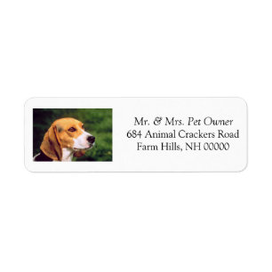 Cute Beagle Return Address Mailing Labels Stickers