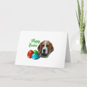 Cute Beagle Tri Coloured  Celebrating Happy Easter Card