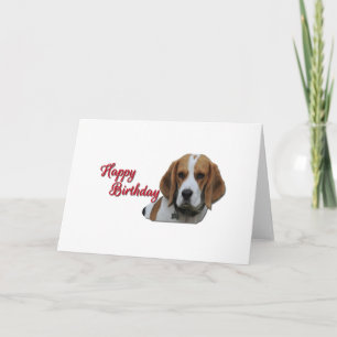 Cute Beagle Tri Coloured  Happy Birthday Red Card