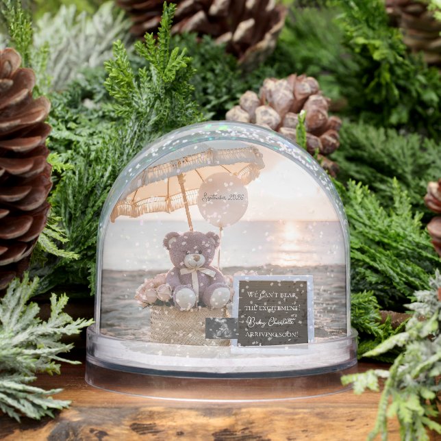 Cute Bear Beach Sunset Pregnancy Announcement Snowglobe (Winter)