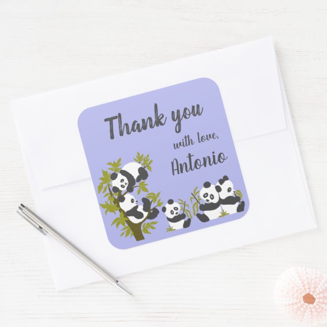 Cute Bear Pandas Party Boy Birthday Gift Thank you Square Sticker (Envelope)