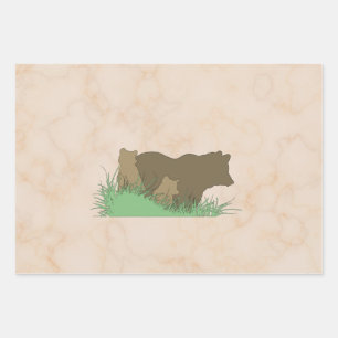 Cute bear wrapper  wrapping paper sheet