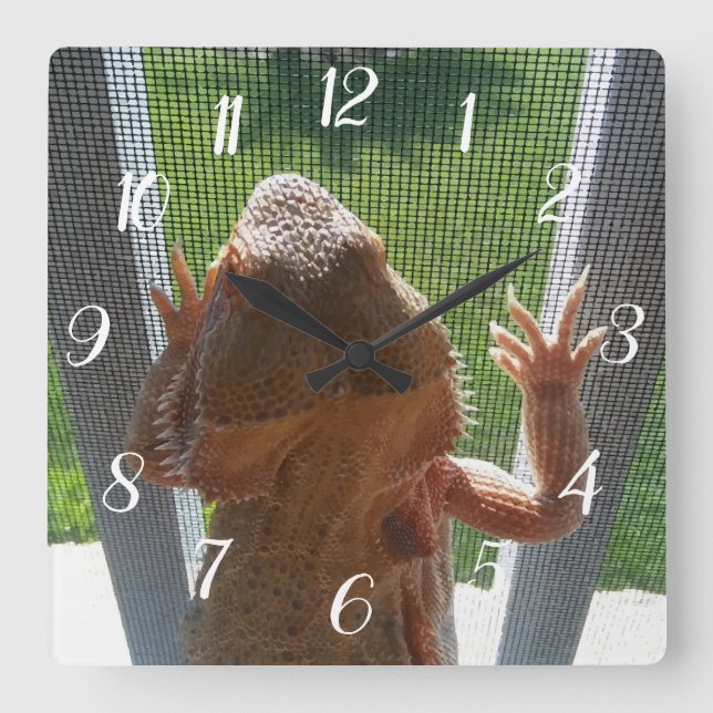 Cute Bearded Dragon Climbing Photo Print Square Wall Clock (Front)