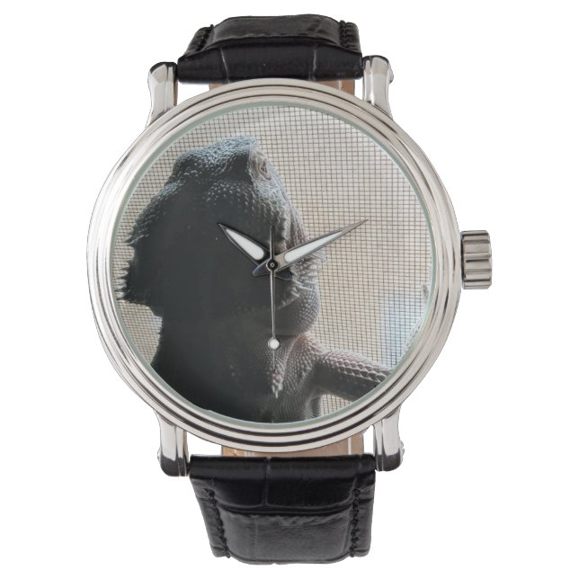 Cute Bearded Dragon Picture Black Leather Watch (Front)