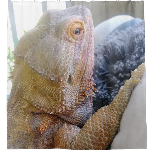Cute Bearded Dragon up Close Picture Shower Curtain (Front)