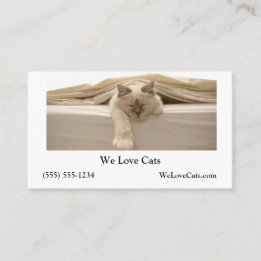 Cute Beige Cat Sleeping On Beige Bed Business Card