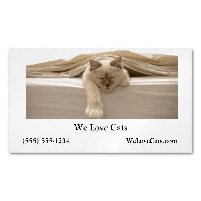 Cute Beige Cat Sleeping On Beige Bed Magnetic Business Card (Front)