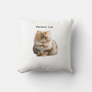 Cute Beige Persian Cat with Pearl Collar Sitting Cushion