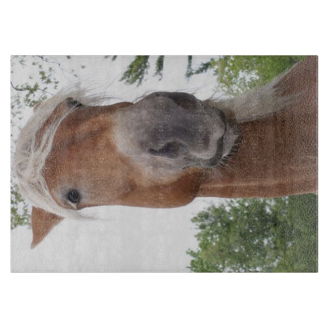 Cute Belgian Draught Horse Face Animal Cutting Board (Front)
