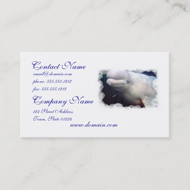 Cute Beluga Whale Business Card (Front)
