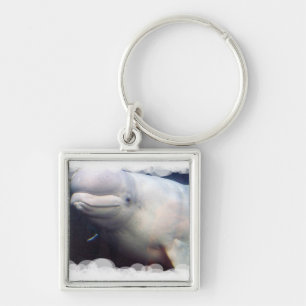 Cute Beluga Whale Keychain