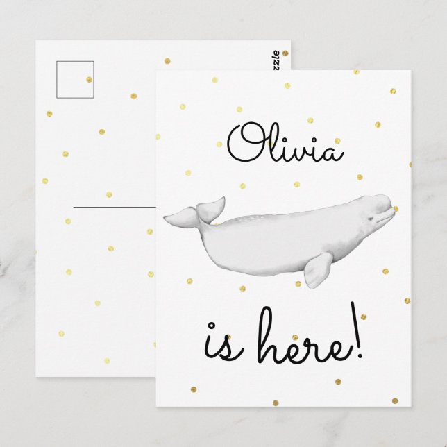Cute Beluga Whale Newborn Baby Birth Announcement Postcard (Front/Back)
