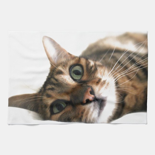 Cute Bengal Cat in Bed Picture Tea Towel (Horizontal)