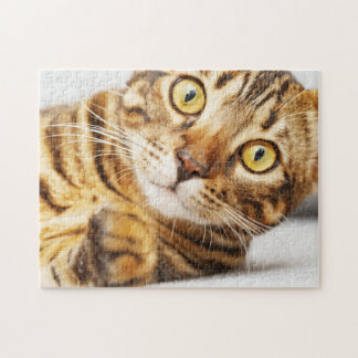 Cute Bengal Cat Jigsaw Puzzle