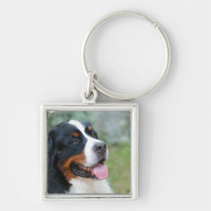 Cute Bernese Keychain