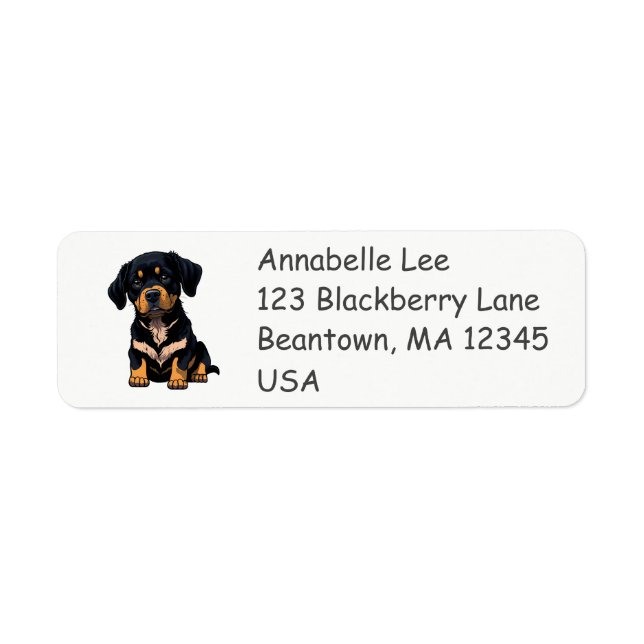 Cute Bernese Mountain Dog (Front)