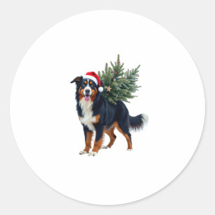 Cute Bernese Mountain Dog in a Christmas Tree for Classic Round Sticker