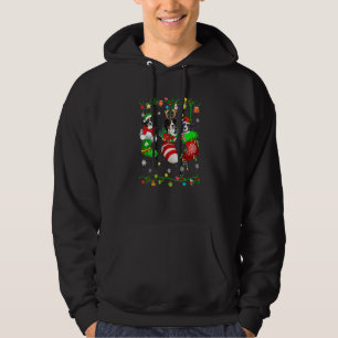 Cute Bernese Mountain Dog In Christmas Socks Pet Hoodie