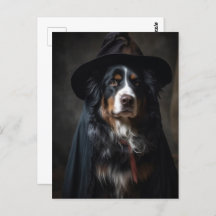Cute Bernese Mountain Dog Witch