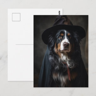 Cute Bernese Mountain Dog Witch Postcard