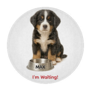 Cute Bernese Mountain Personalised Puppy Cutting Board
