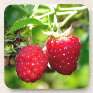Cute berry photo Raspberries blackberries fruit Coaster