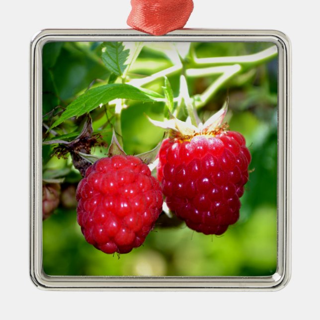 Cute berry photo Raspberries blackberries fruit Metal Tree Decoration (Front)