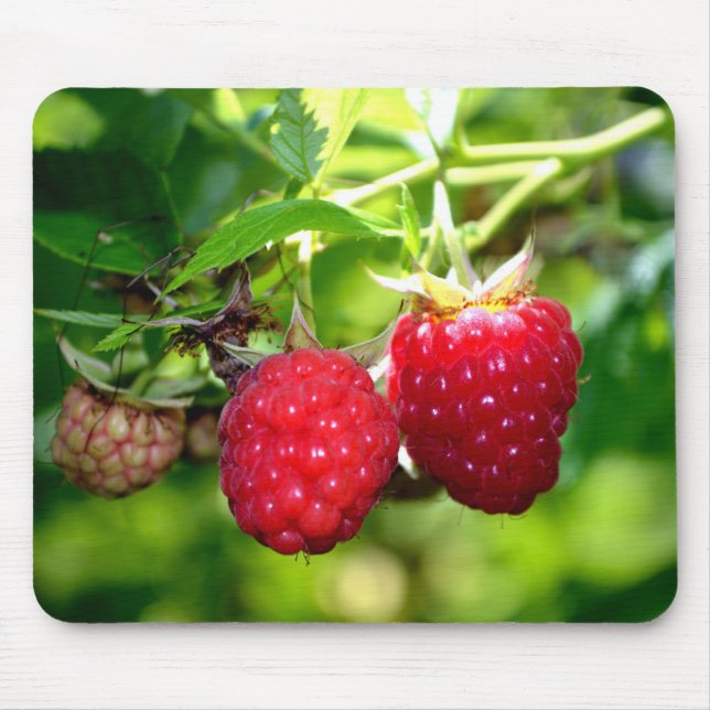 Cute berry photo Raspberries blackberries fruit Mouse Mat (Front)