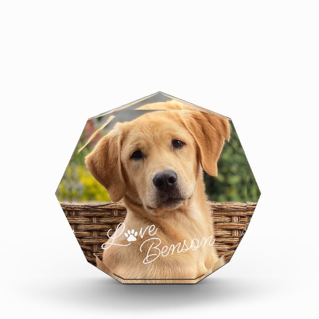 Cute Best Friend Picture Love Paw Print Heart Photo Block (Front)