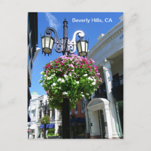 Cute Beverly Hills Postcard! Postcard