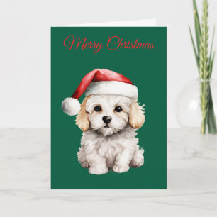 Cute Bichon Frise at Christmas Holiday Card