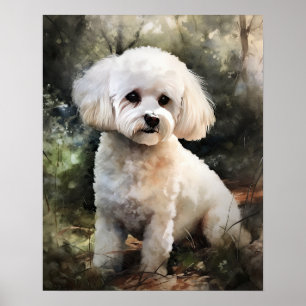 Cute Bichon Frise Dog Art Print Poster