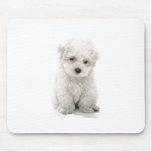 Cute Bichon Frise Mouse Pad