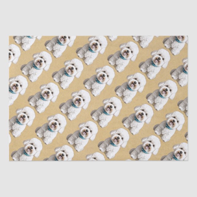 Cute Bichon Frise on Dappled Paper Background (Front)