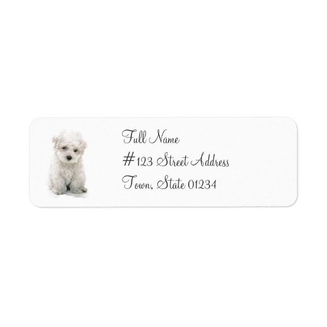 Cute Bichon Frise Return Address Mailing Label (Front)