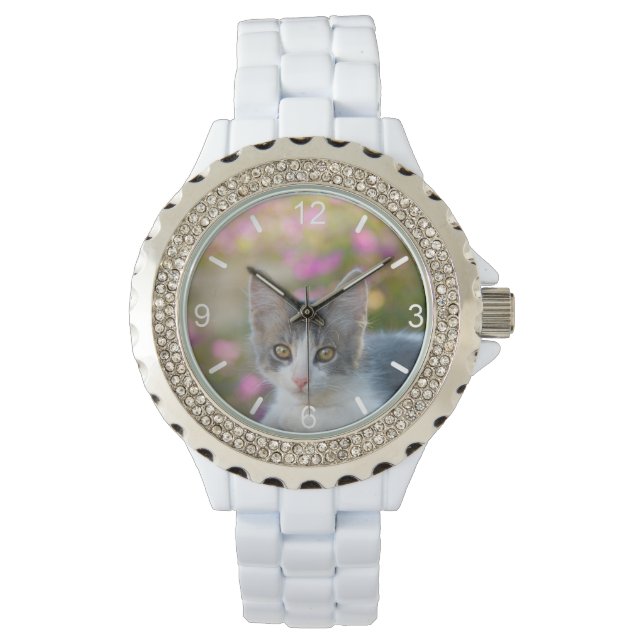 Cute Bicolor Kitten Fluffy Cat Photo - dial-plate Watch (Front)