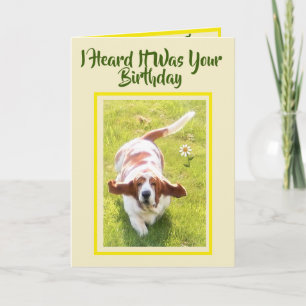 Cute "Big Ears" Advantage W/Basset Birthday Card
