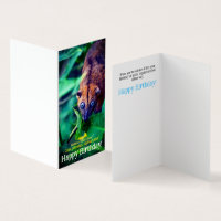 Cute Big Eyed Possum In Jungle Birthday Card
