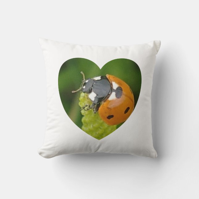Cute Big Ladybug In A Heart Cushion (Front)