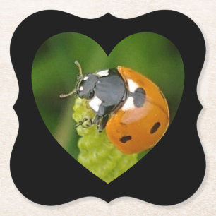 Cute Big Ladybug In A Heart Square coaster