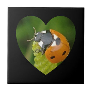 Cute Big Ladybug In A Heart Square Tile