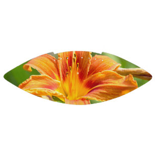 Cute big Lily flower photo American Football