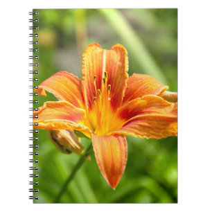 Cute big Lily flower photo Notebook